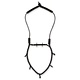 Loon Neckvest Lanyard