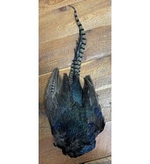 Melanistic Pheasant Skin Natural