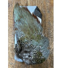 Pheasant Rump Patch
