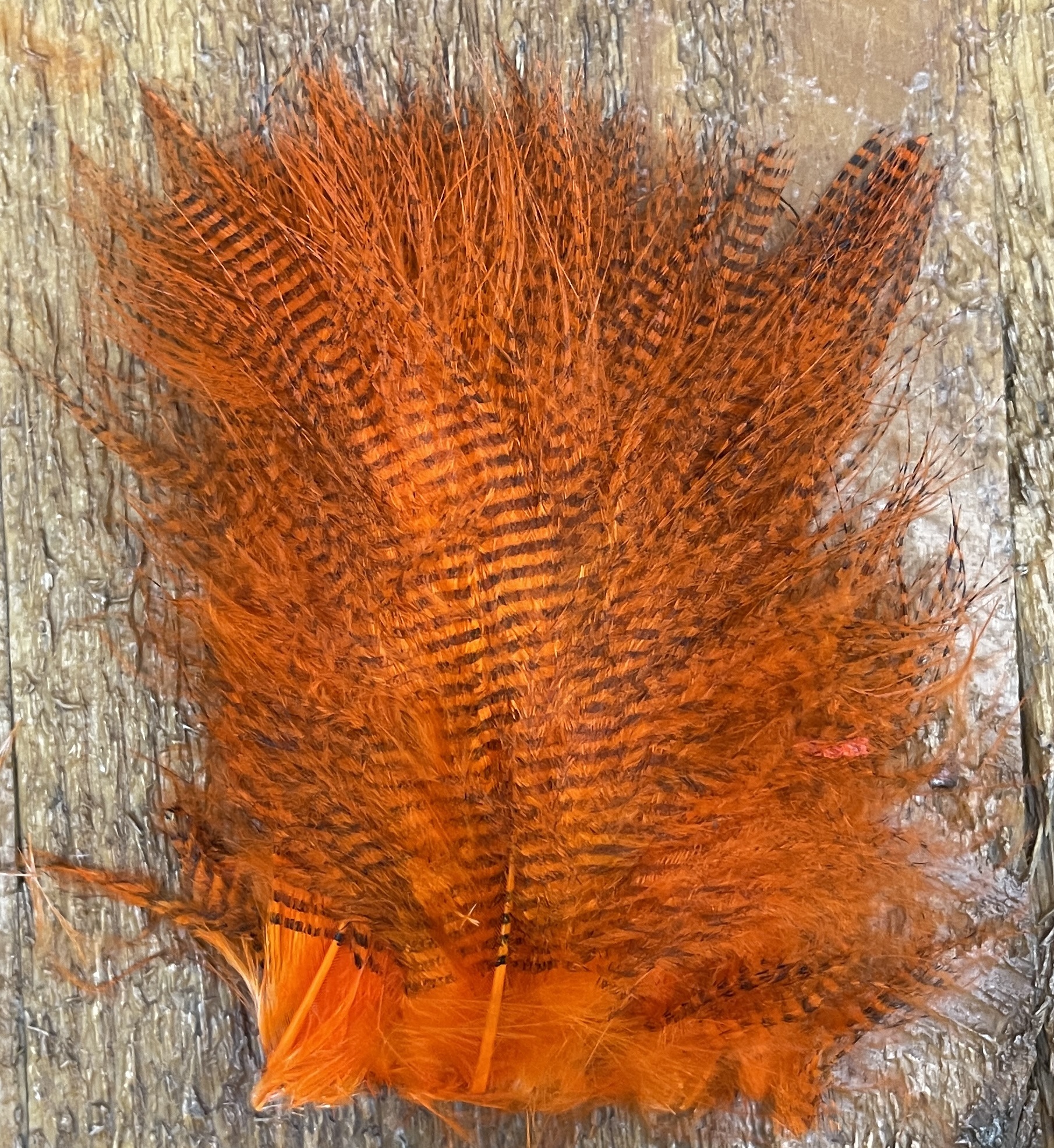 Fine Black Barred Marabou