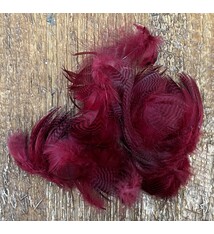 Teal Flank Feathers - Claret