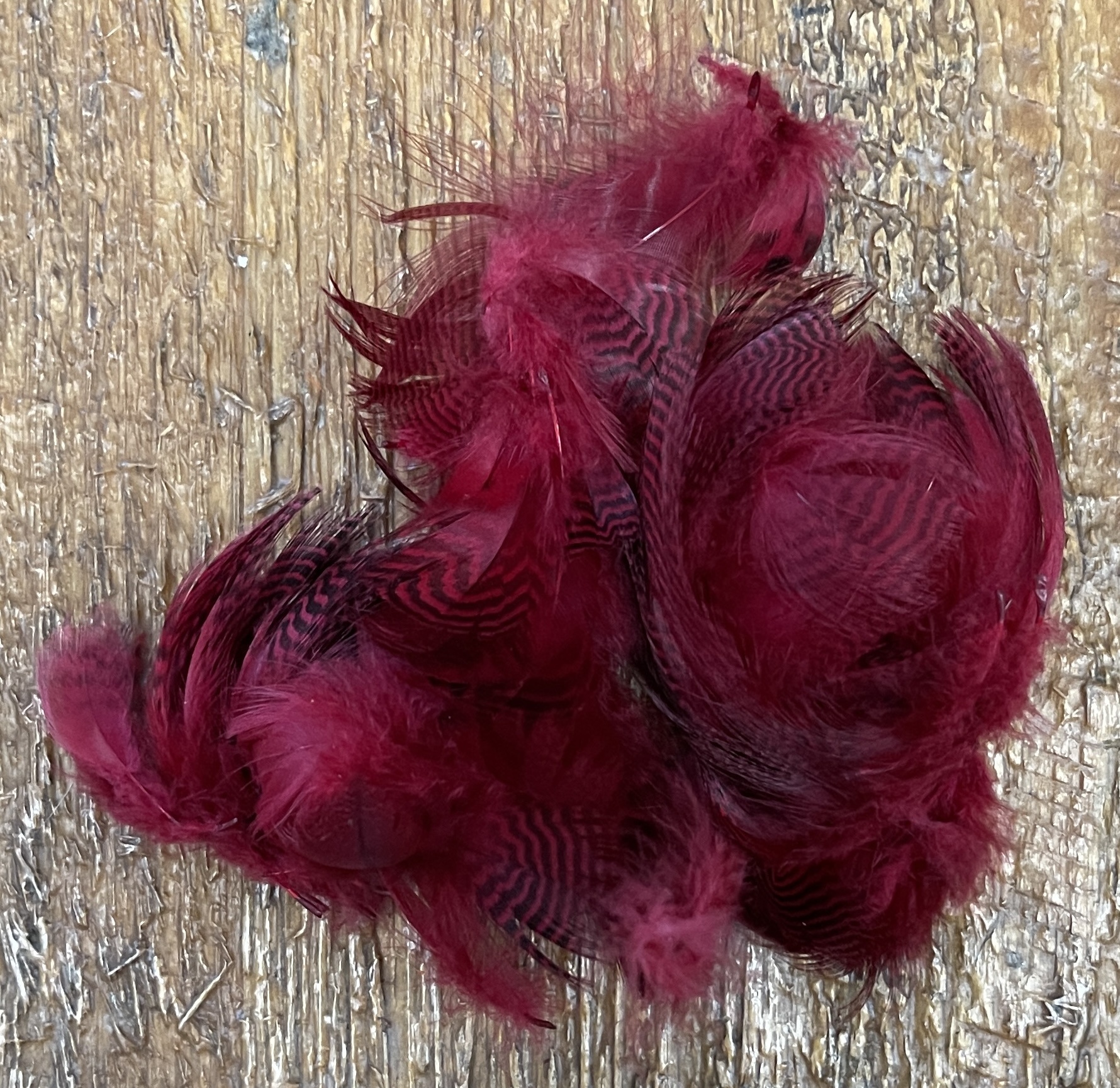 Teal Flank Feathers - Claret