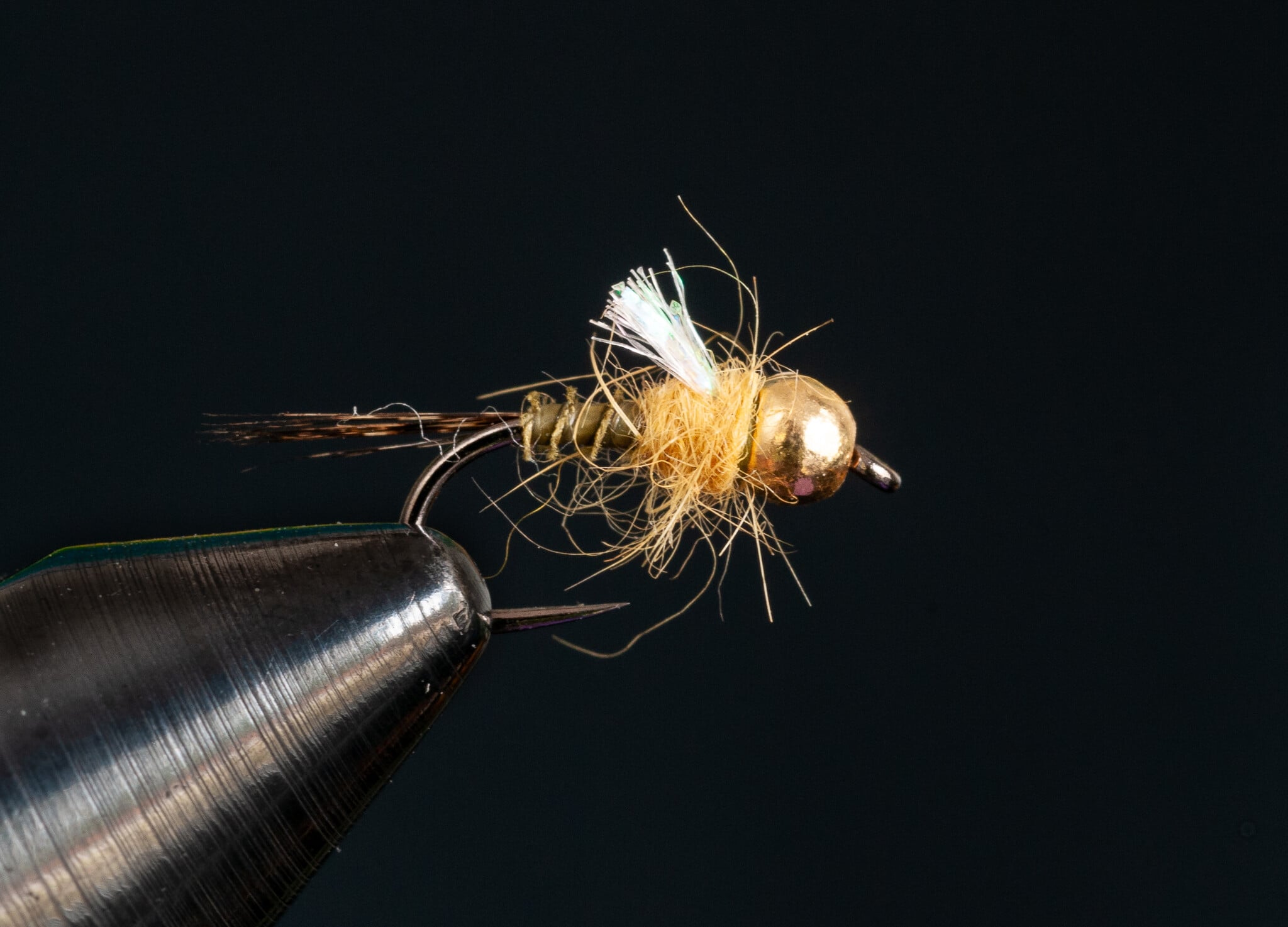 Conti's Confidence Nymph