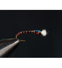 Menthol Midge Black size 14