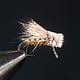 Galloup's Snowshoe Hopper Cream Size 12
