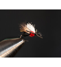Galloup's Ant Acid