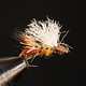 Galloup's Ant Acid