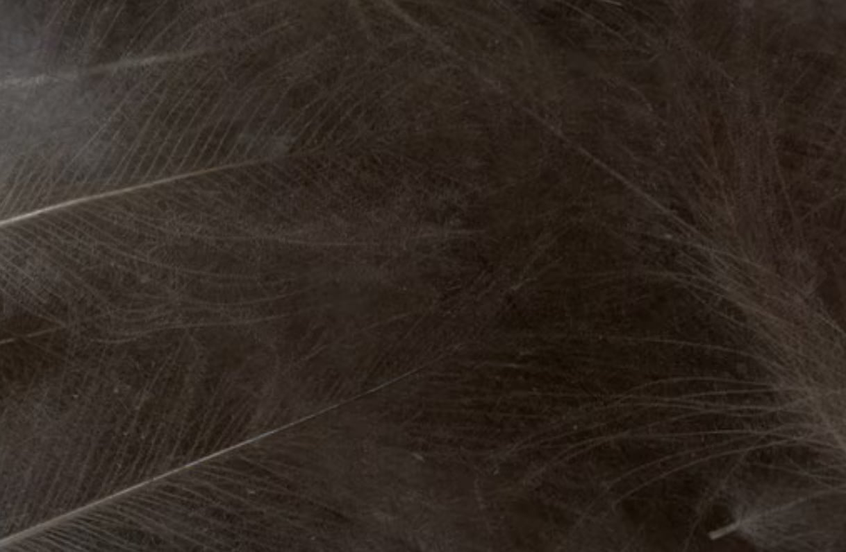 Fulling Mill CDC Feathers 1G