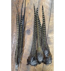 Pro Tyer Pheasant Tails