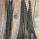 Pro Tyer Pheasant Tails