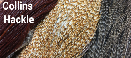 blue ribbon flies shop