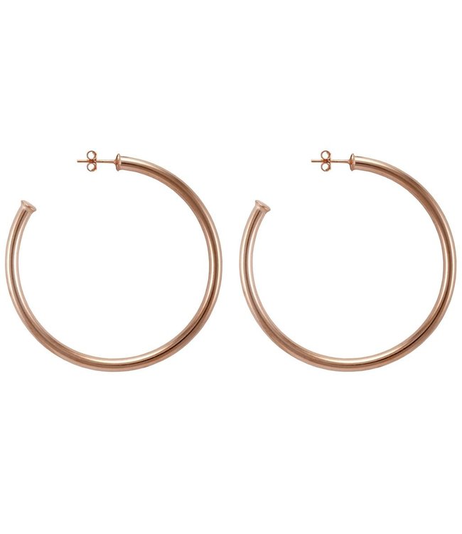 Everybody's Favorite Hoop Earrings