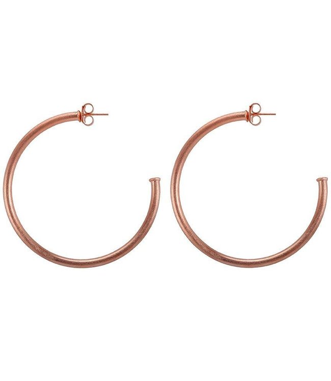 Everybody's Favorite Hoop Earrings