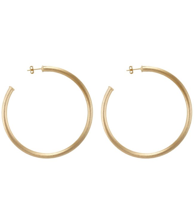 Everybody's Favorite Hoop Earrings