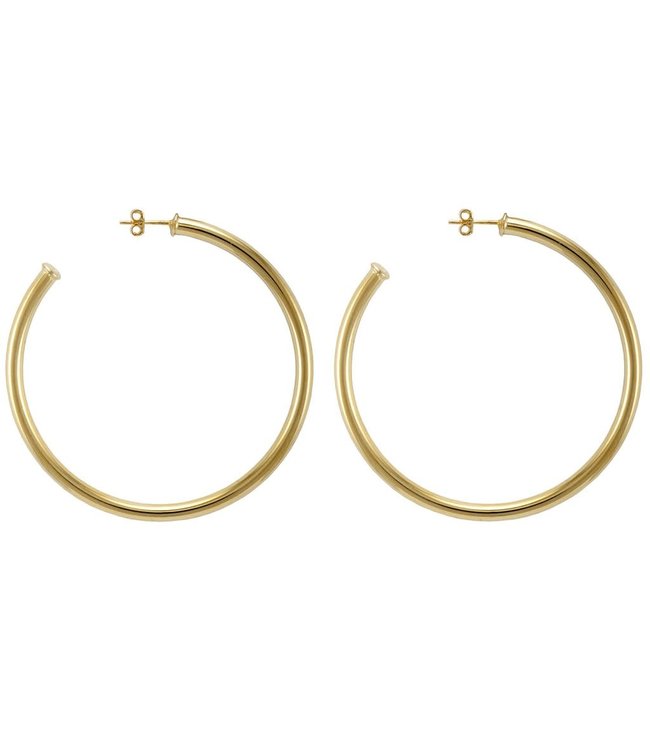 Everybody's Favorite Hoop Earrings