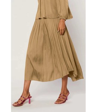 Current Air Elastic Waisted Pleated A-Line Skirt with Rounded Hem