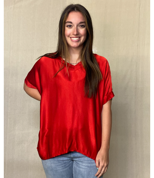 Brand Bazaar Silkie V-Neck Top