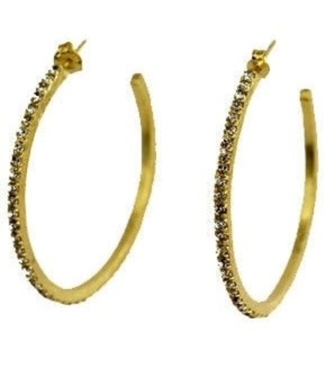 Sheila Fajl Beta Hoops