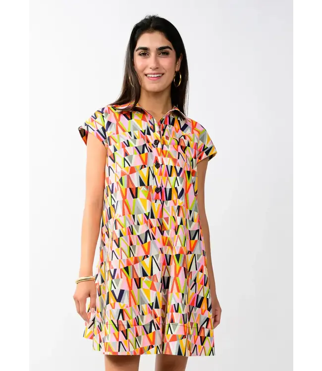 Uncle Frank Shift & Swing Dress