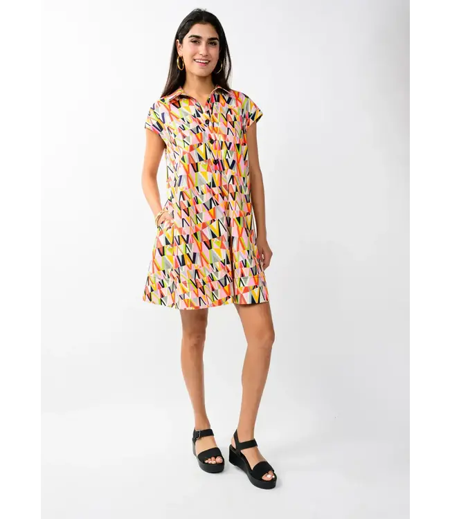 Uncle Frank Shift & Swing Dress