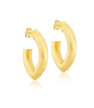 Sheila Fajl Stare Hoops