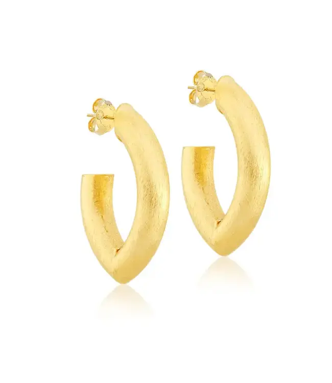 Sheila Fajl Stare Hoops