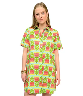 Uncle Frank Swing Shirt Dress