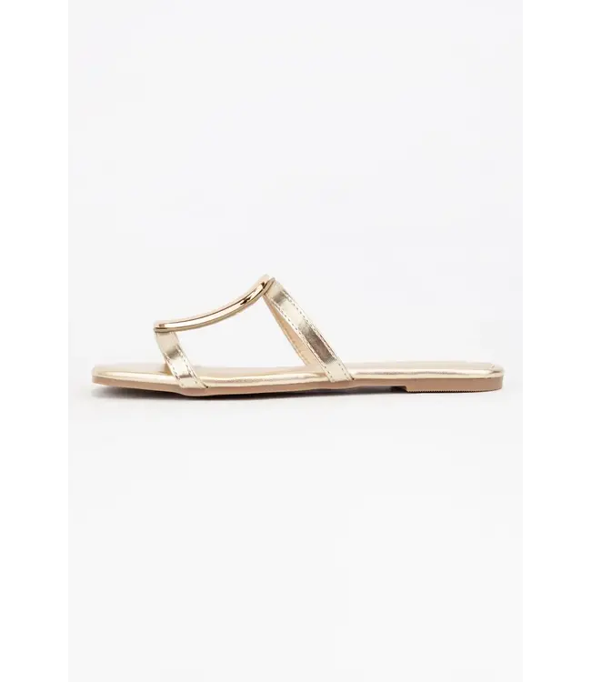 Ccocci Barsa-01 Golden Embellishment Double Strap Sandals