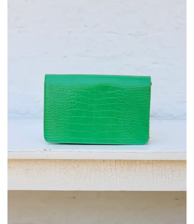 Caroline Hill Bryn Clutch/Crossbody Bag