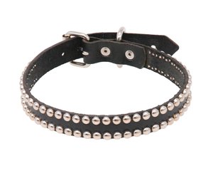 Studded Dog Collar - Unique and Stylish Dog Collar –