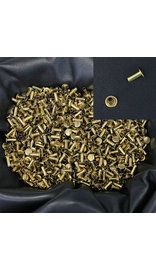 1000 pcs 5/16'' x 3/8'' Solid Brass Rivet Posts #Z4197PBR