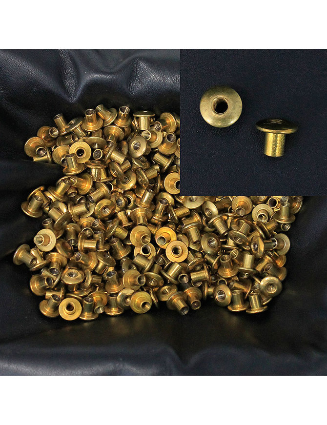 1000 pcs 7mm Solid Brass Female Chicago Screw Rivets #Z5038PBR