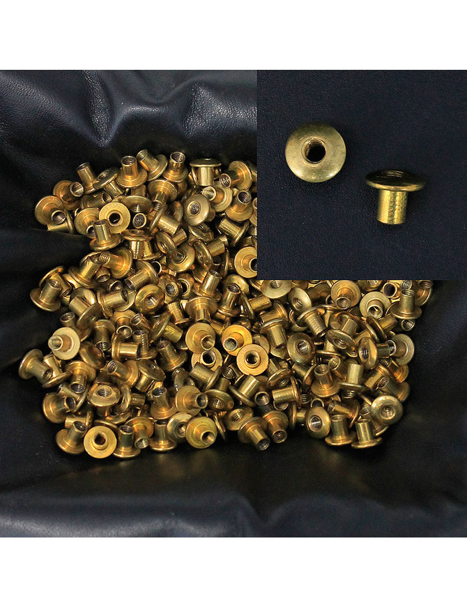 https://cdn.shoplightspeed.com/shops/625505/files/46841605/670x871x2/1000-pcs-7mm-solid-brass-female-chicago-screw-rive.jpg