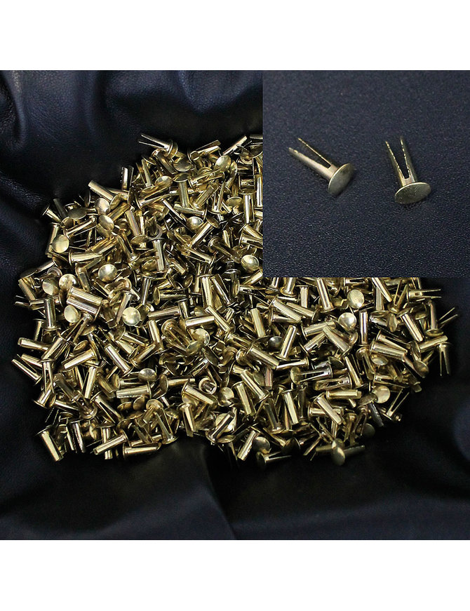 1000 pcs Brass Half Inch Butterfly Split Rivets #Z038BTFLYG