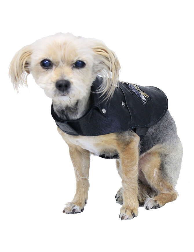 Jamin Leather® Doggie Leather Biker Jacket - Genuine Leather Made in USA #DC2401RPK