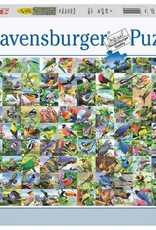 Ravensburger 99 plumages éclatants, 300pcs, GF