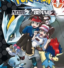 Kurokawa Pokémon : la grande aventure : Noir 2 et Blanc 2 T.1