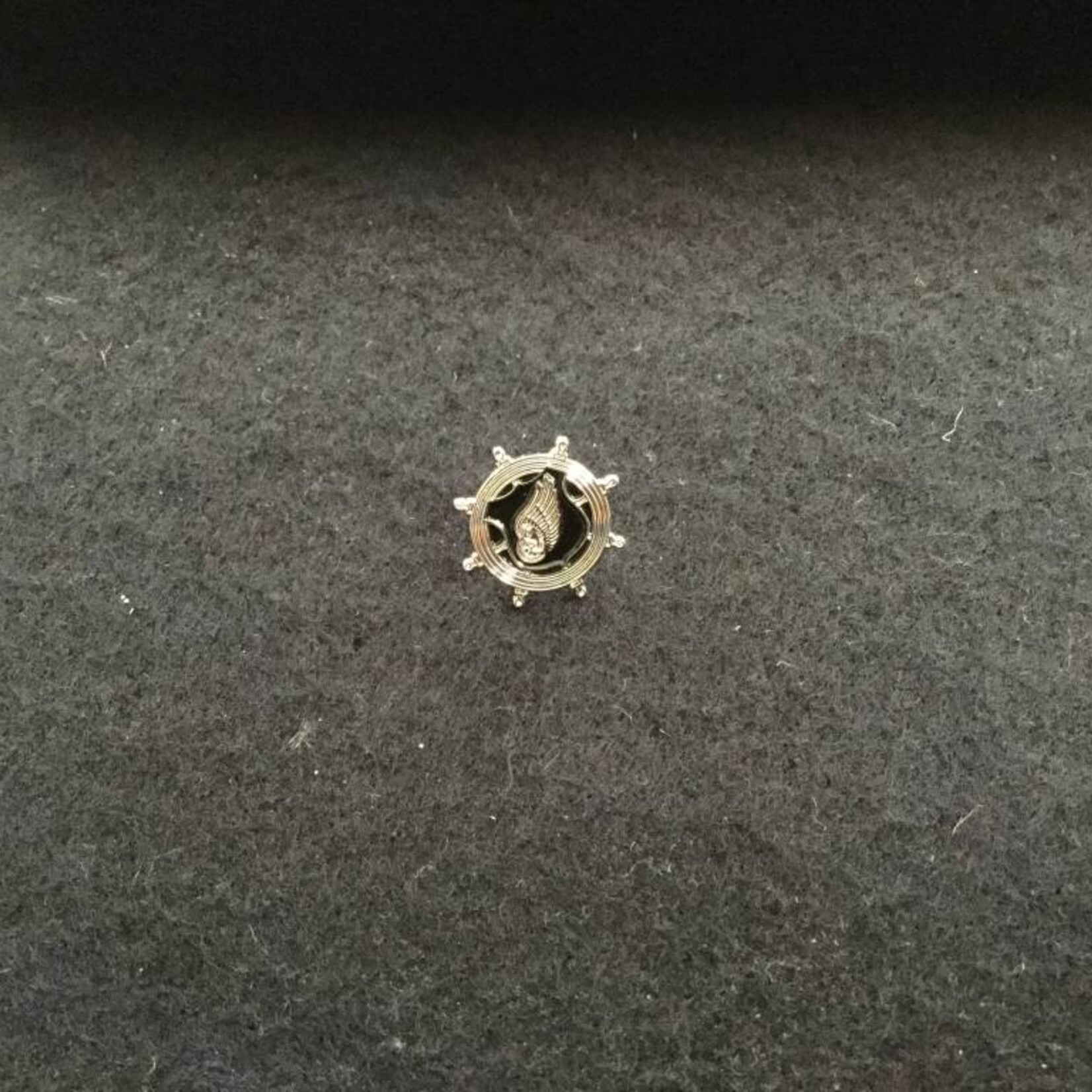 TC Lapel Pin