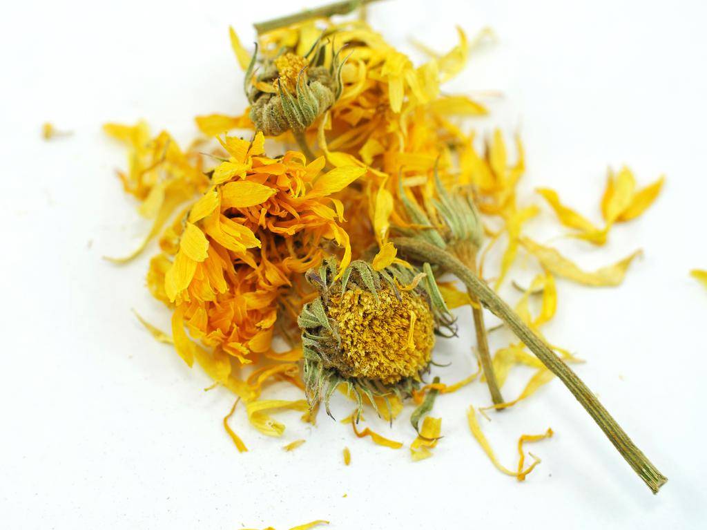 CALENDULA FLOWERS — Flower Power ❀ Herbs & Roots ❀ EAST VILLAGE NYC ❀ Open  12 - 7pm Daily