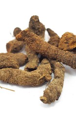 Bloodroot, Organic, bulk/oz