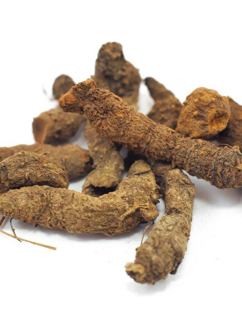 Bloodroot, Organic, bulk/oz