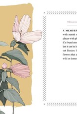 Cattail Moonshine & Milkweed Medicine - Tammi Hartung