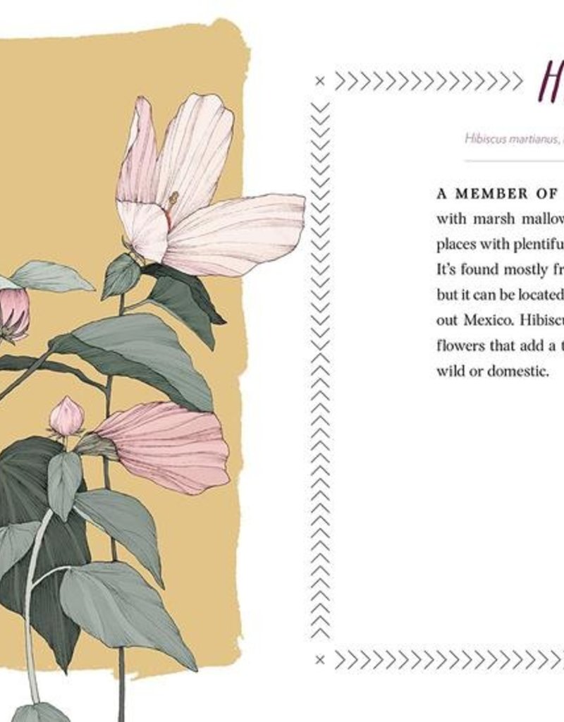 Cattail Moonshine & Milkweed Medicine - Tammi Hartung