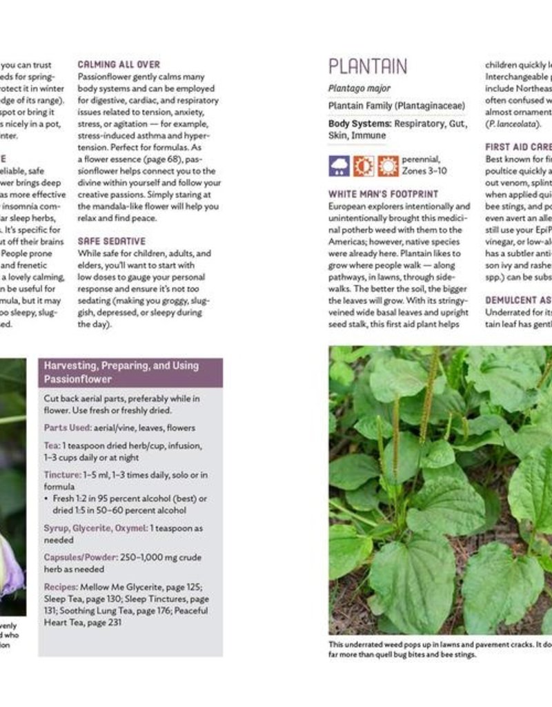 Grow Your Own Herbal Remedies - Maria Noel Groves