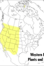 Peterson Field Guide to Western Medicinal Plants & Herbs - Steven Foster