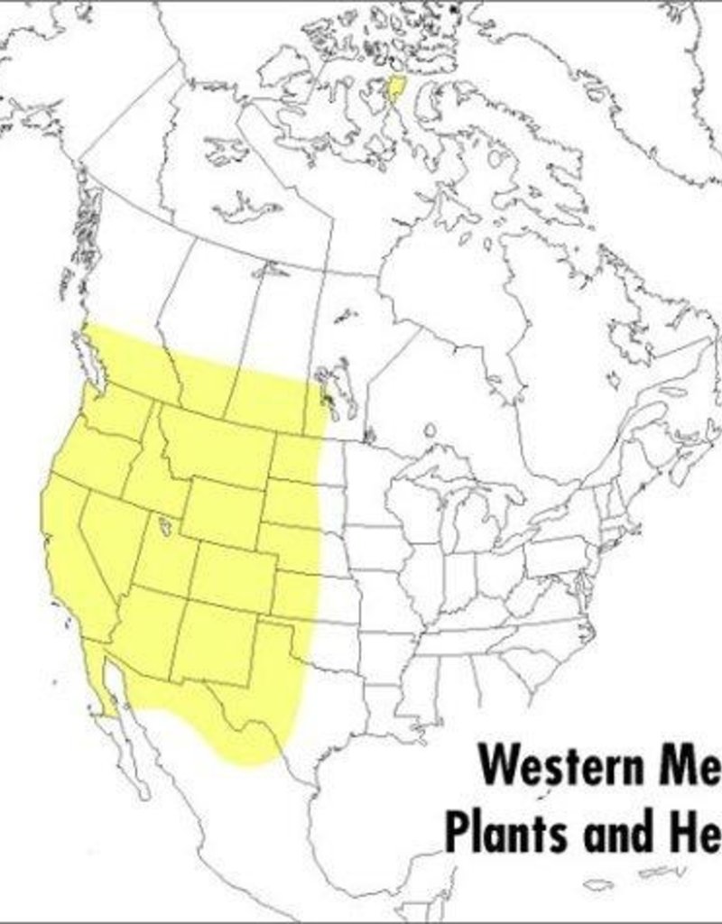 Peterson Field Guide to Western Medicinal Plants & Herbs - Steven Foster