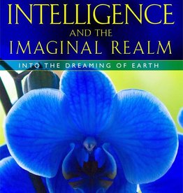 Plant Intelligence & the Imaginal Realm - Stephen Buhner