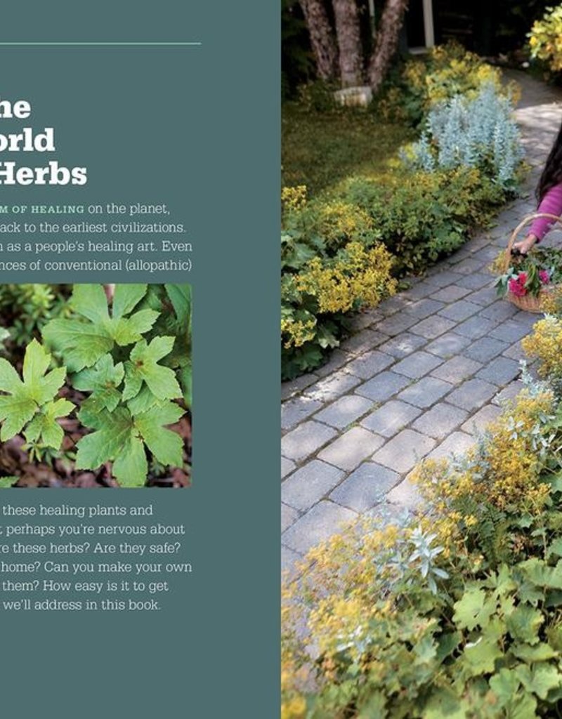 Rosemary Gladstar's Medicinal Herbs: A beginner’s Guide