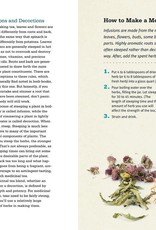 Rosemary Gladstar's Medicinal Herbs: A beginner’s Guide