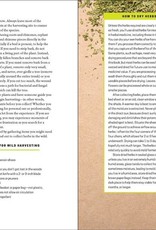 The Herbal Apothecary: 100 Medicinal Herbs and How to Use Them - JJ Pursell